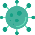 bacterias bacterias